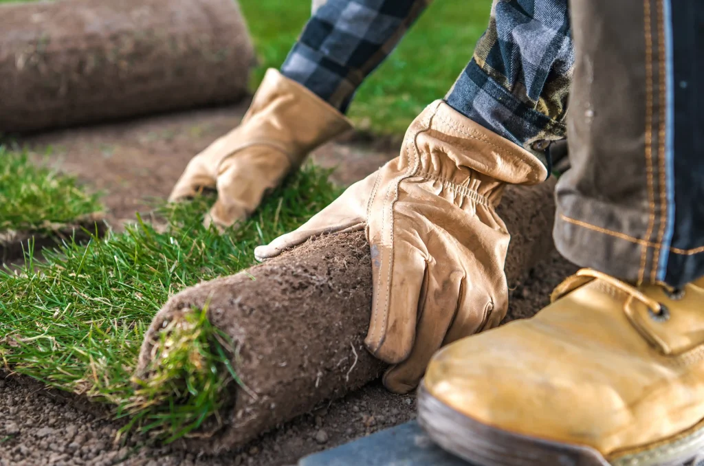 Commercial Landscaping: Preparing Your Business Premises for the New Season