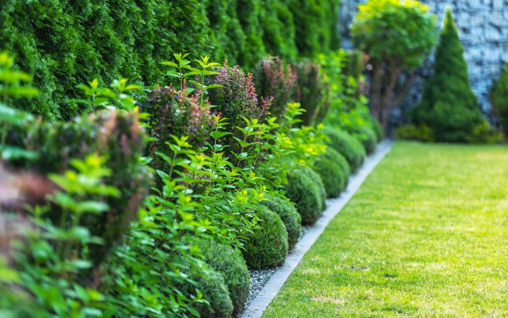 Transform Your Garden: Landscaping Ideas That Add Value