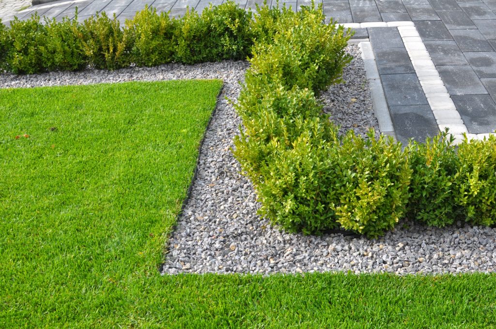 How to Choose a Commercial Landscaping Contractor in Colchester: 6 Key Questions