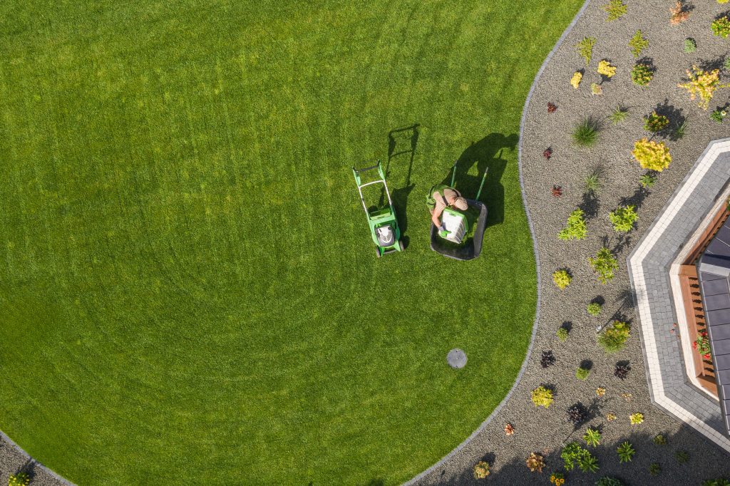 What to Expect When You Book Commercial Landscaping Services in Colchester