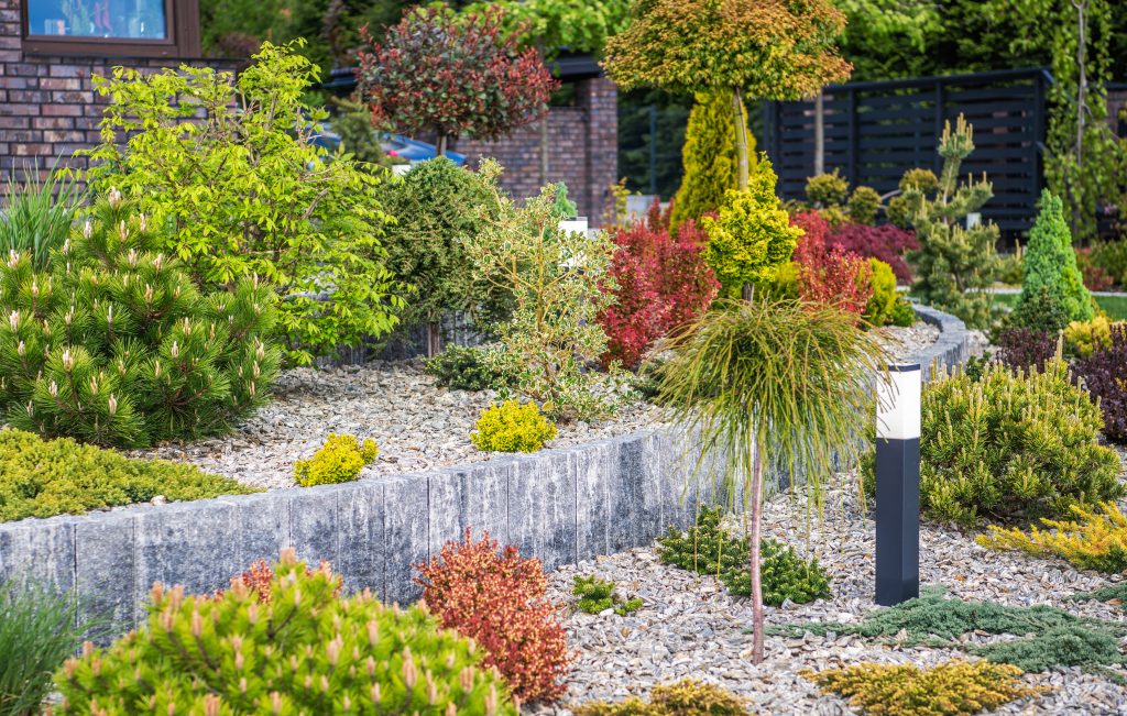 What Are Budget-Friendly Landscaping Ideas for Your Garden?